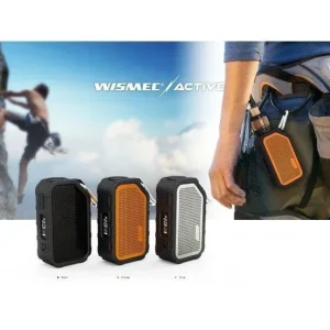 ACTIVE 2100MAH - Wismec