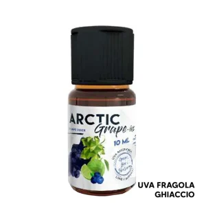 Arctic GRAPE ino – Aroma Concentrato 10ml – Enjoy Svapo