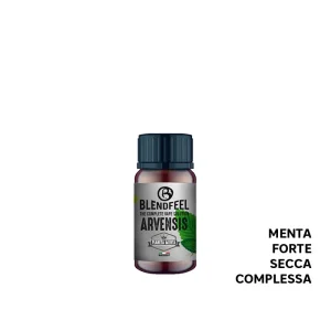 ARVENSIS – Pianeta Menta – Aroma Concentrato 10ml – Blendfeel
