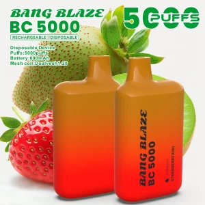 BANG Blaze BC5000 – Vape Usa e Getta