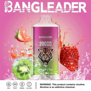 Bang Leader 20000 – Vape Usa e Getta