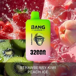 Bang Leader 32000 – Vape Usa e Getta