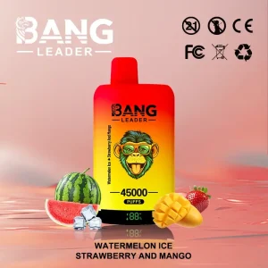 Bang Leader 45000 – Vape Usa e Getta