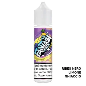 BLACKCURRANT X LEMON ICE – Liquido Scomposto 20ml – Fantasi