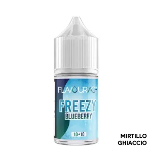 BLUEBERRY – Freezy – Aroma Mini Shot 10+10 – Flavourage