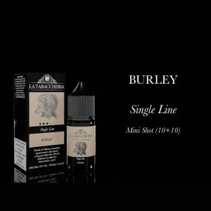 BURLEY – Extra Dry 4Pod – Aroma Mini Shot 10+10 – La Tabaccheria