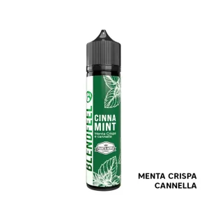 CINNA MINT – Pianeta Menta – Liquido Scomposto 20ml – Blendfeel