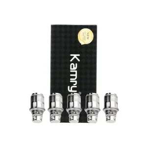 CONFEZIONE DA 5 RESISTENZE K1000 Plus 0.5/0.6Ω - Kamry