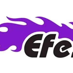 Efest Batteria e Caricabatteria sigaretta elettronica Smo