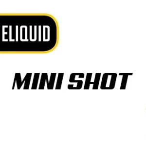 Fashion Vape AMARU Liquidi Mini Shot 10ml