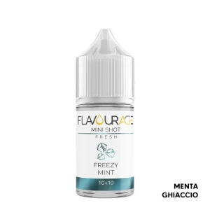 FREEZY MINT – Fresh – Aroma Mini Shot 10+10 – Flavourage