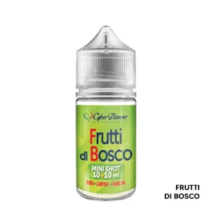 FRUTTI DI BOSCO – Aroma Mini Shot 10+10 – Cyber Flavour