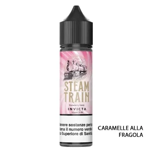 Invicta – Liquido Scomposto 20ml – Steam Train