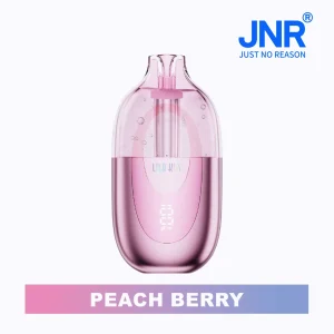 JNR Lila Kiss 60000 – Vape Usa e Getta