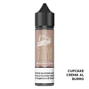 Magnificent – Liquido Scomposto 20ml – Steam Train