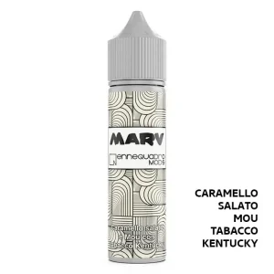 MARV – Liquido Scomposto 20ml – Ennequadro Mods