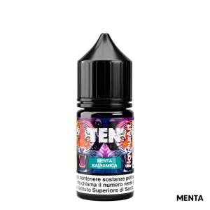 MENTA BALSAMICA – Ten X – Aroma Mini Shot 10+10 – Flavourart