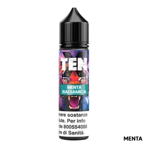 MENTA BALSAMICA – Ten X – Liquido Scomposto 20ml – Flavourart