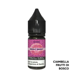 MERRY BERRY – Kingdon – Aroma Concentrato 10ml – Dreamods