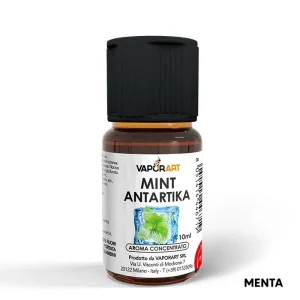 MINT ANTARTIKA – Delixia – Aroma Concentrato 10ml – Vaporart