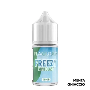 MINT BLAST – Freezy – Aroma Mini Shot 10+10 – Flavourage