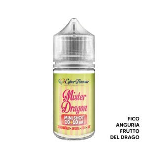 MISTER DRAGON – Aroma Mini Shot 10+10 – Cyber Flavour