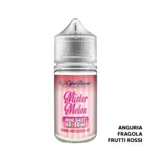 MISTER MELON – Aroma Mini Shot 10+10 – Cyber Flavour