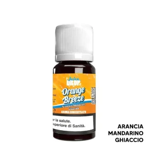 ORANGE BREEZE – Juice Drop – Aroma Concentrato 10ml – Dreamods