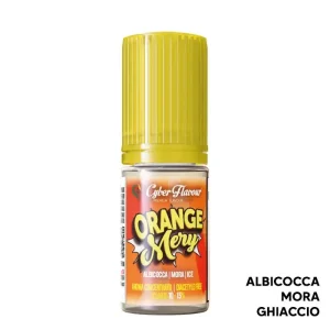 ORANGE MERY – Aroma Concentrato 10ml – Cyber Flavour
