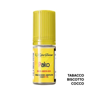 PAKO – Aroma Concentrato 10ml – Cyber Flavour