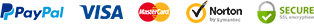 Icone dei servizi di pagamento