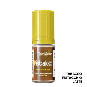 PISBAKKO – Aroma Concentrato 10ml – Cyber Flavour