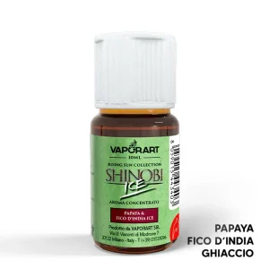 SHINOBI ICE – Premium Blend – Aroma Concentrato 10ml – Vaporart