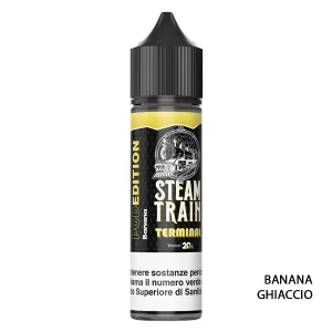 TERMINAL – Pod Edition – Liquido Scomposto 20ml – Steam Train