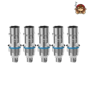 Testine Coil Nautilus 2S Mesh 0.7 Ohm (5 pezzi) – Aspire