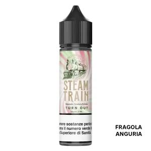 Turn Out – Liquido Scomposto 20ml – Steam Train