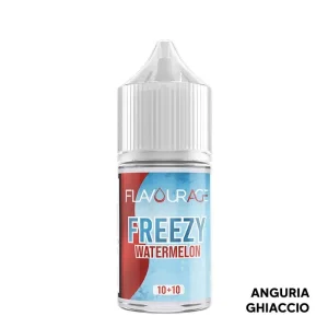 WATERMELON – Freezy – Aroma Mini Shot 10+10 – Flavourage