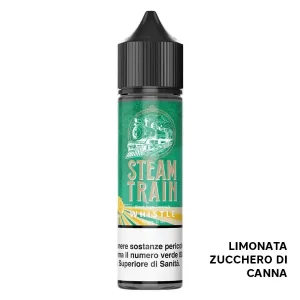Whistle – Liquido Scomposto 20ml – Steam Train