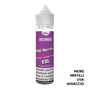 WILD BERRIES – Ghiaccioli – Liquido Scomposto 20ml – Dreamods